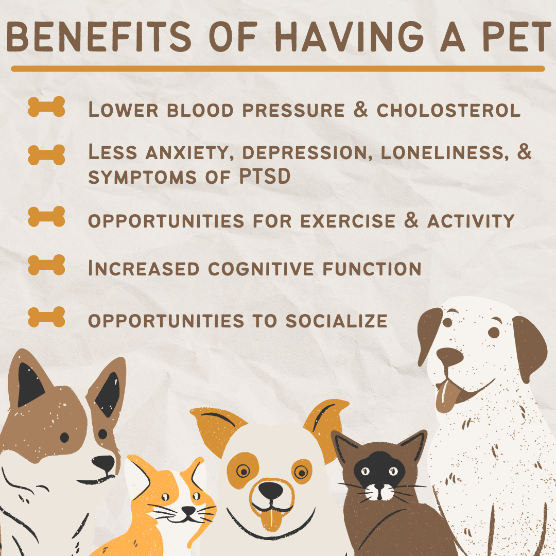 essay about benefits of having pets